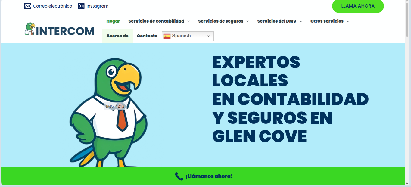 INTERCOM Services